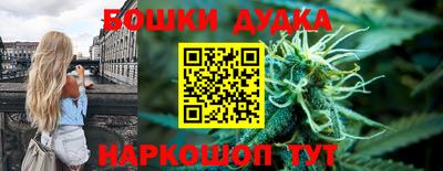 гидра Краснокаменск
