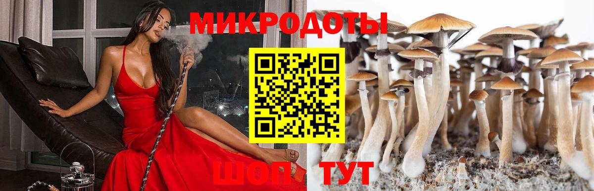 Псилоцибиновые грибы Psilocybine cubensis  закладки  Галлюциногенные грибы Cubensis  Кизляр  Вход с VPN 